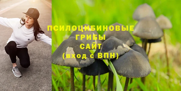 скорость mdpv Заводоуковск