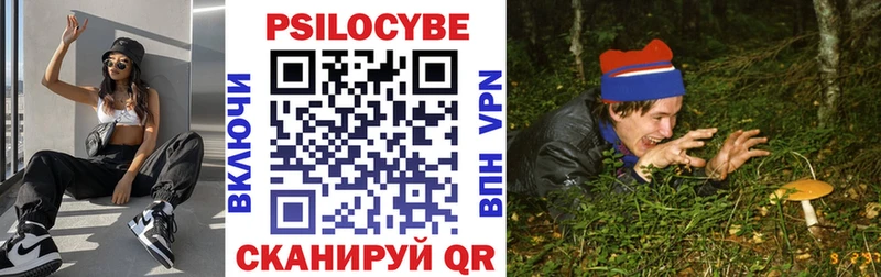 Купить  Артём  Псилоцибиновые грибы Psilocybe 